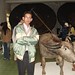 Nguyen Qui Photo 15