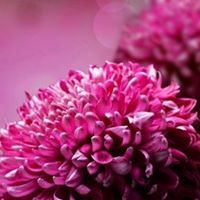 Jenna Robbins Photo 37