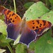 Mark Summers Photo 38