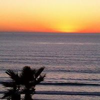 Joan Downey Photo 12