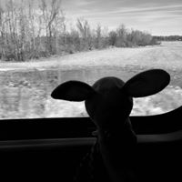 Rachel Ellison Photo 42