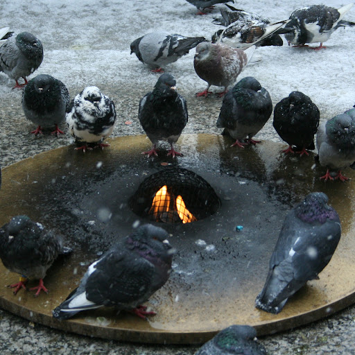 Jessica Potter Photo 3