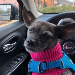 Anthony Day Photo 35