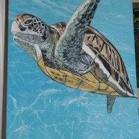 Suzanne Ervin Photo 6