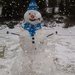 Denise Vincent Photo 33