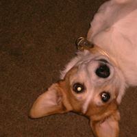 Heather Welch Photo 16