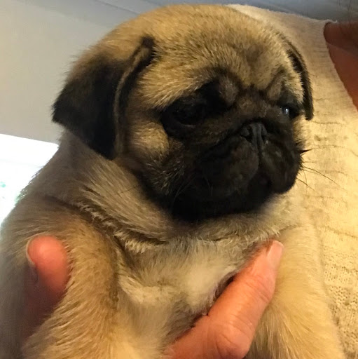 Julia Ashton Photo 13