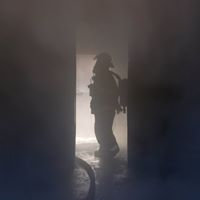 Steve Mcdaniel Photo 14