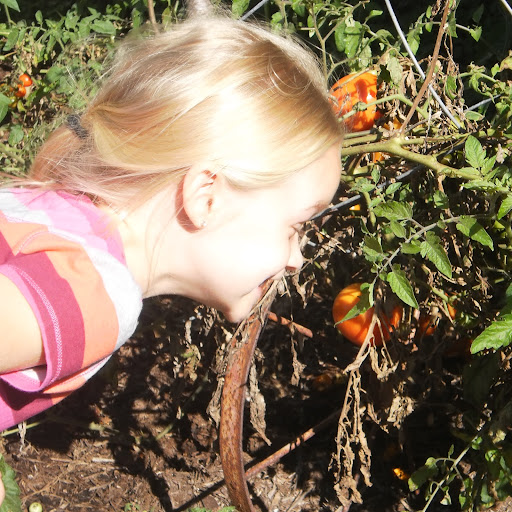 Laura Barker Photo 33