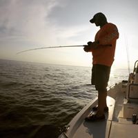 Ronald Pierson Photo 15