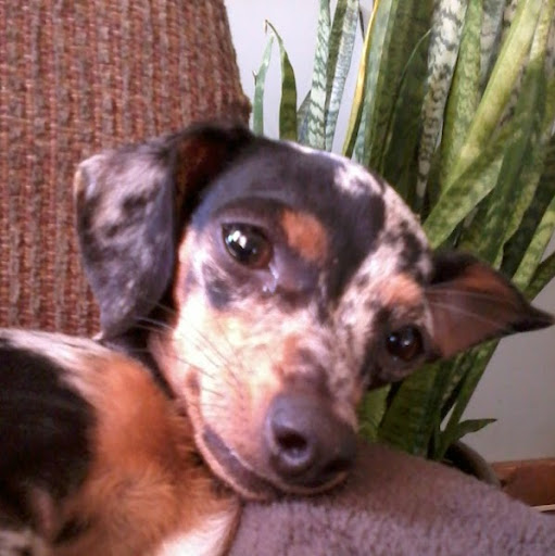 Debbie Overstreet Photo 5