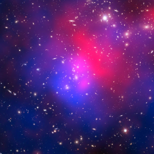 Elizabeth Watson Photo 19