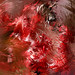 Don Gunderson Photo 19