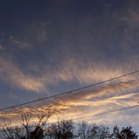 Lisa Gaither Photo 17