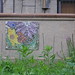 Paul Matson Photo 13