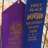 Michelle Coulter Photo 18