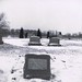 Ed Adams Photo 7