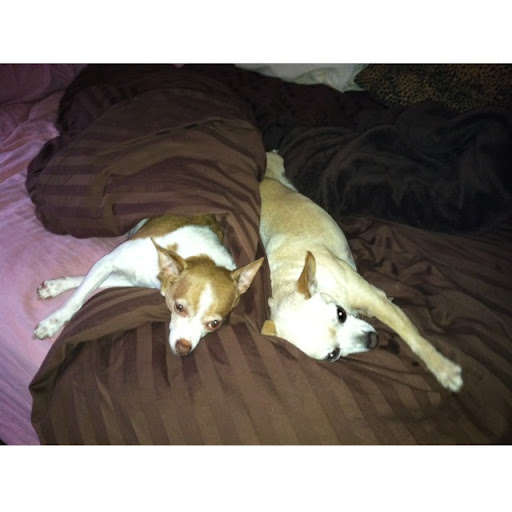 Christina Morelli Photo 4