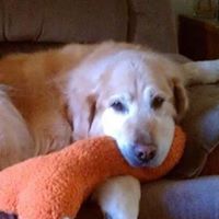 Anita Arnold Photo 23