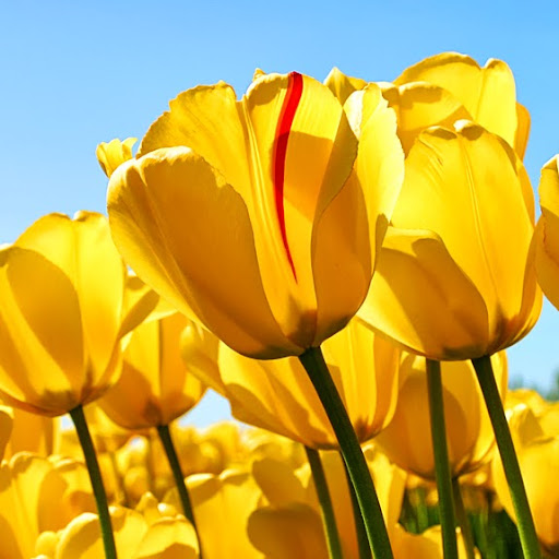 Kerri Bailey Photo 39