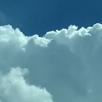 Ronald Hill Photo 22