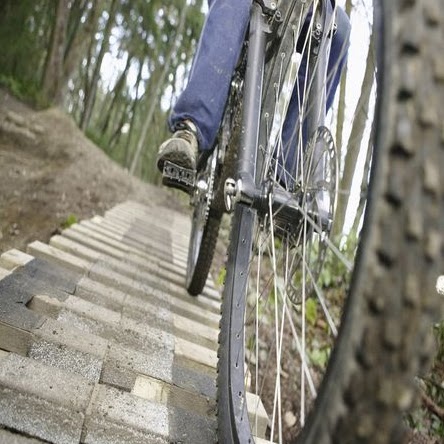 Paul Washington Photo 6