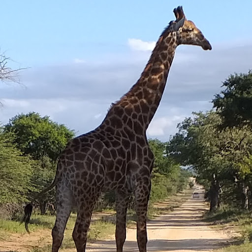 Debora Sanchez Photo 15