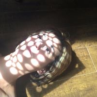 Casey Gregory Photo 34