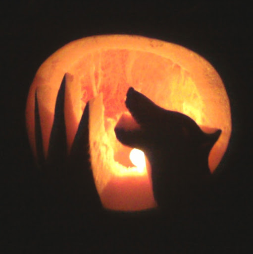 Russell Walters Photo 36