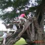 Linda Zheng Photo 11