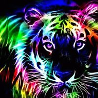 Tommie Clark Photo 12