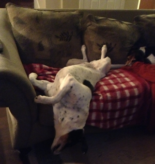 Jennifer Albaugh Photo 5