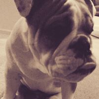 Rogelio Rios Photo 26