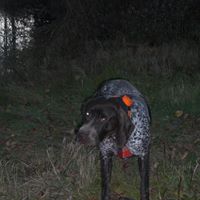 Brian Heins Photo 13