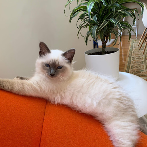 Megan Pryor Photo 26