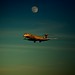 Douglas Fuller Photo 8