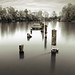 Geoffrey Lang Photo 5