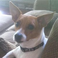 Laura Browning Photo 24 Laura Browning Photo 24