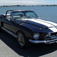 Mark Gilmour Photo 8