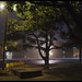 John Abbott Photo 12