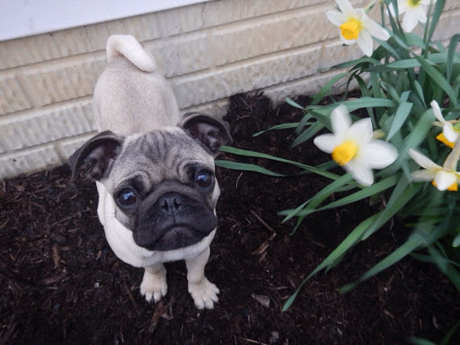 Michelle Rodriguez Photo 38