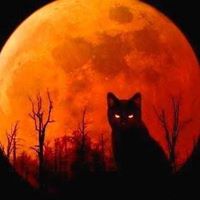 Teresa Garland Photo 19