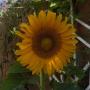 Christine Hackett Photo 21