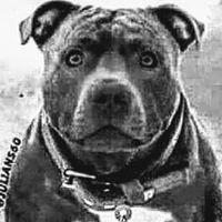 Bryan Dewitt Photo 10 Bryan Dewitt Photo 10