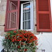 Jean Towns Photo 9