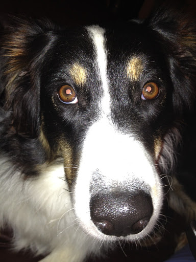 Michelle Mcelroy Photo 7