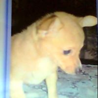Geneva Greathouse Photo 2