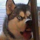 Paul Milligan Photo 20