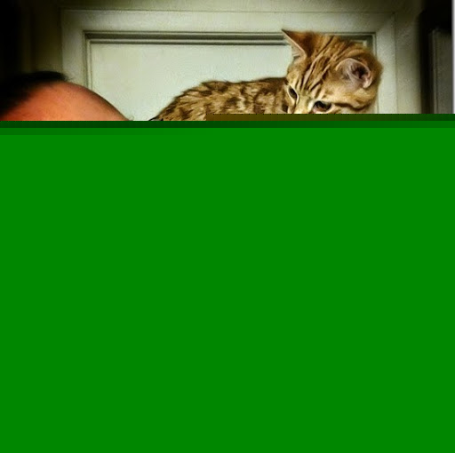 Paul Wood Photo 6 Paul Wood Photo 6