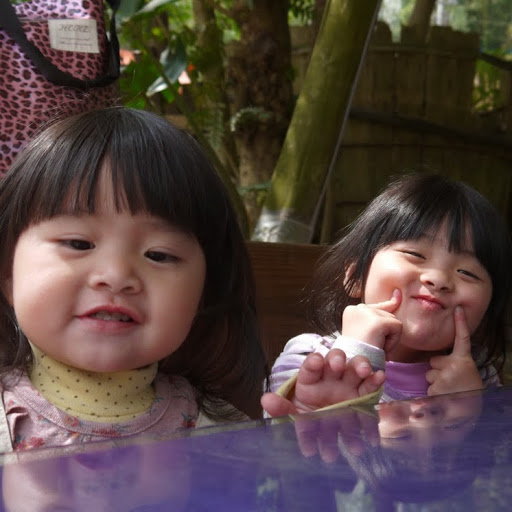 Yvonne Cheng Photo 25